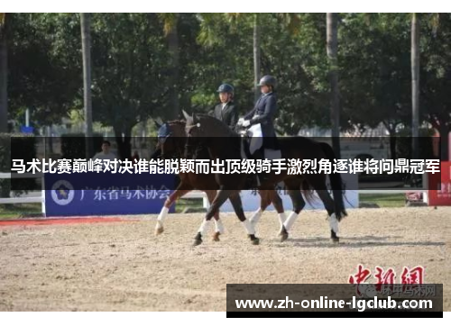 马术比赛巅峰对决谁能脱颖而出顶级骑手激烈角逐谁将问鼎冠军