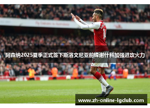 阿森纳2025夏季正式签下斯洛文尼亚前锋谢什科加强进攻火力